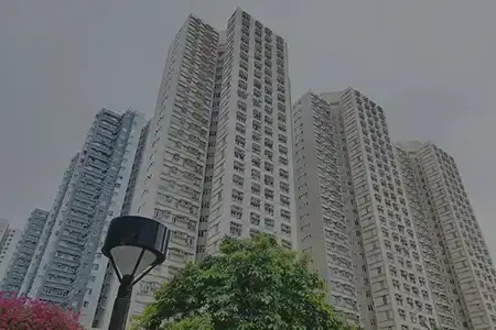 Codename Picture Perfect